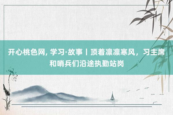 开心桃色网， 学习·故事丨顶着凛凛寒风，习主席和哨兵们沿途执勤站岗