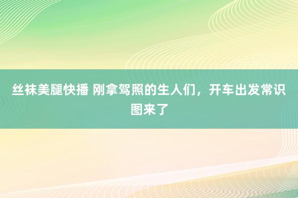 丝袜美腿快播 刚拿驾照的生人们，开车出发常识图来了