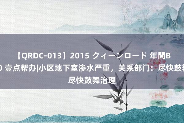 【QRDC-013】2015 クィーンロード 年間BEST10 壹点帮办|小区地下室渗水严重，关系部门：尽快鼓舞治理