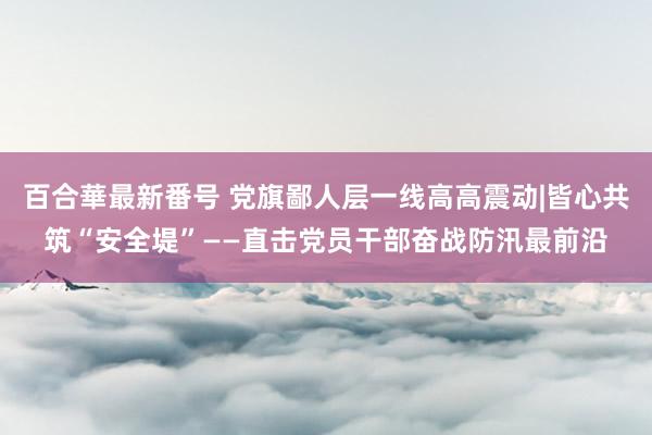 百合華最新番号 党旗鄙人层一线高高震动|皆心共筑“安全堤”——直击党员干部奋战防汛最前沿