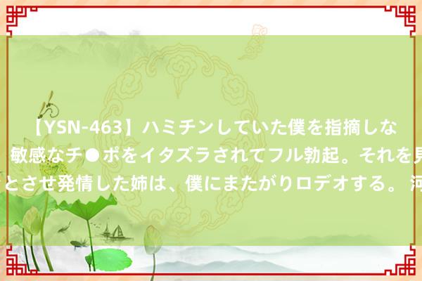 【YSN-463】ハミチンしていた僕を指摘しながらも含み笑いを浮かべ、敏感なチ●ポをイタズラされてフル勃起。それを見て目をトロ～ンとさせ発情した姉は、僕にまたがりロデオする。 河北衡水“鸟医师”6年解救3735只野纯真物