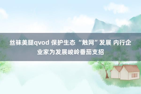 丝袜美腿qvod 保护生态 “触网”发展 内行企业家为发展峻岭番茄支招