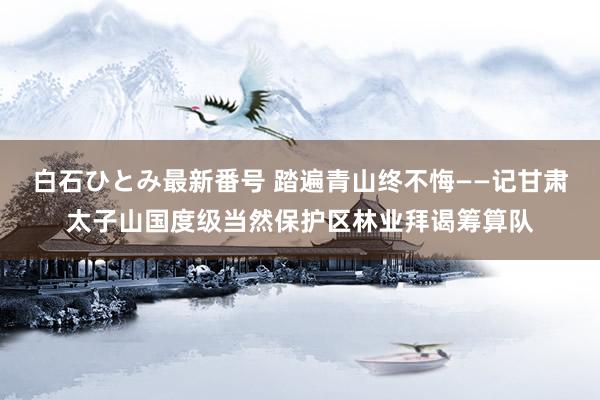 白石ひとみ最新番号 踏遍青山终不悔——记甘肃太子山国度级当然保护区林业拜谒筹算队