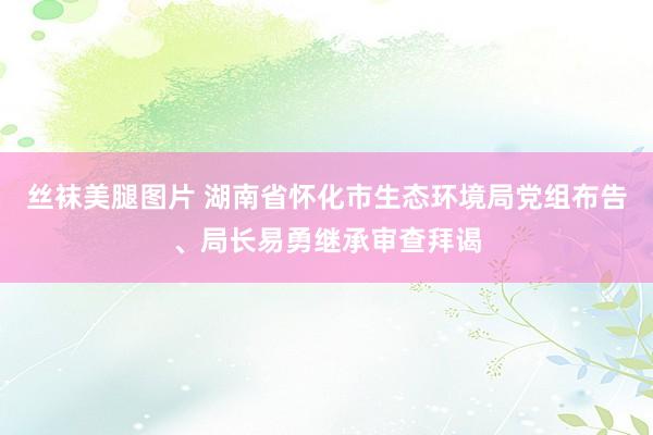 丝袜美腿图片 湖南省怀化市生态环境局党组布告、局长易勇继承审查拜谒