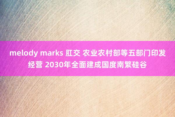 melody marks 肛交 农业农村部等五部门印发经营 2030年全面建成国度南繁硅谷