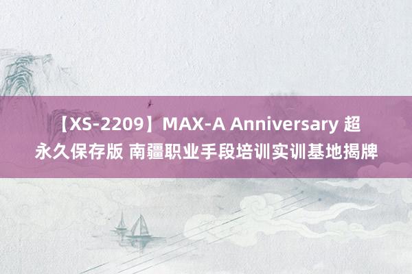 【XS-2209】MAX-A Anniversary 超永久保存版 南疆职业手段培训实训基地揭牌