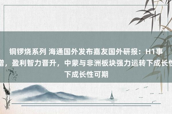 铜锣烧系列 海通国外发布嘉友国外研报：H1事迹高增，盈利智力晋升，中蒙与非洲板块强力运转下成长性可期