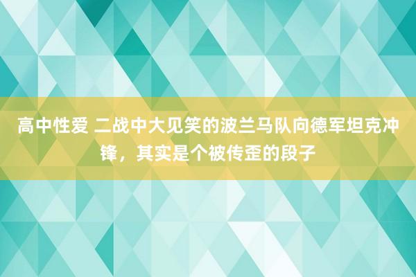 高中性爱 二战中大见笑的波兰马队向德军坦克冲锋，其实是个被传歪的段子