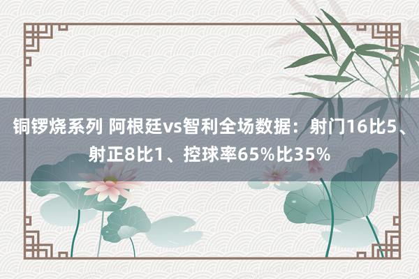 铜锣烧系列 阿根廷vs智利全场数据：射门16比5、射正8比1、控球率65%比35%