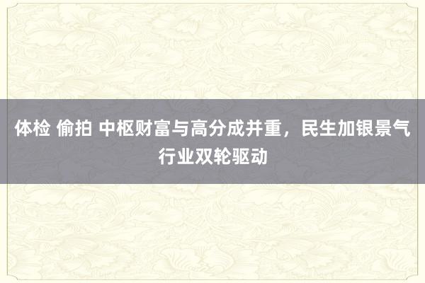 体检 偷拍 中枢财富与高分成并重，民生加银景气行业双轮驱动