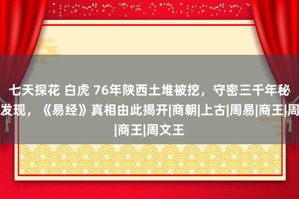 七天探花 白虎 76年陕西土堆被挖，守密三千年秘要被发现，《易经》真相由此揭开|商朝|上古|周易|商王|周文王